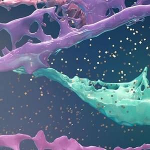 Meet your Posher, Audrie